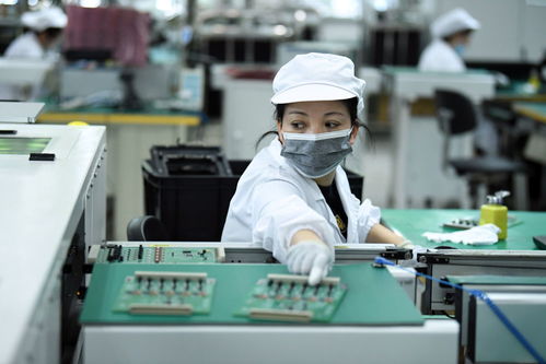 高质量发展调研行 生产一线看制造企业智改数转网联拍卖业务